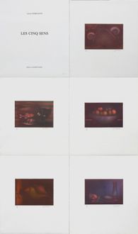 Les cinq sens - portfolio of 5 prints